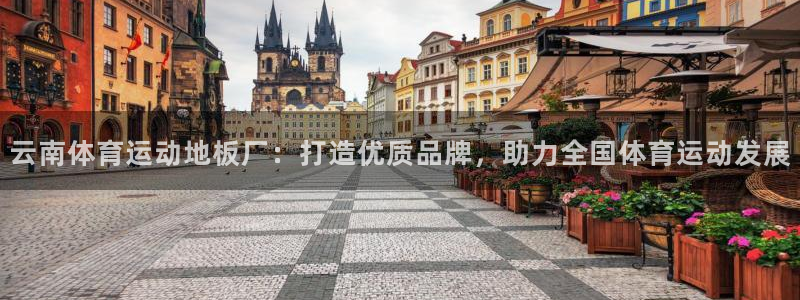 中欧新蓝筹基金166002：云南体育运动地板厂：打造优质品牌，助力全国体育运动发展