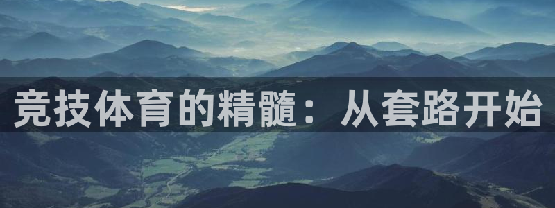 中欧体育网页版：竞技体育的精髓：从套路开始