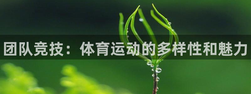 中欧cmo学费：团队竞技：体育运动的多样性和魅力