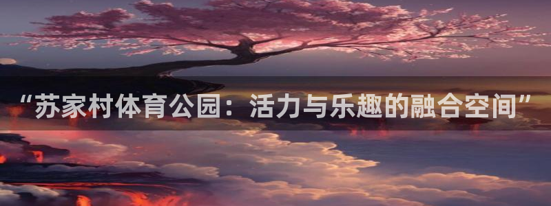 中欧优质企业混合A016311：“苏家村体育公园：活力与乐趣的融合空间”