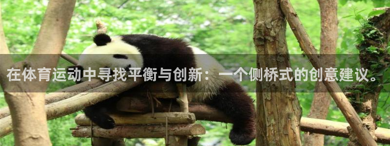 中欧体育KOK官网入口：在体育运动中寻找平衡与创新：一个侧桥式的创意建议。