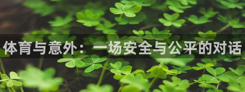 中欧协会：体育与意外：一场安全与公平的对话