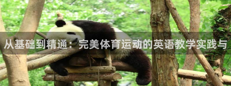 中欧班列开通的意义：从基础到精通：完美体育运动的英语教学实践与