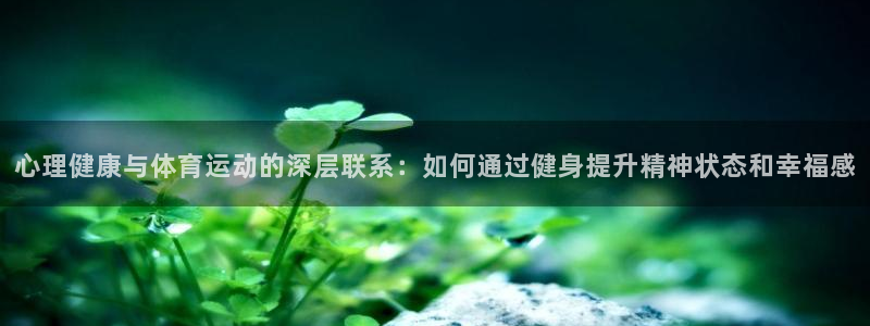 中欧制造升级混合c是什么基金：心理健康与体育运动的深层联系：如何通过健身提升精神状态和幸福感