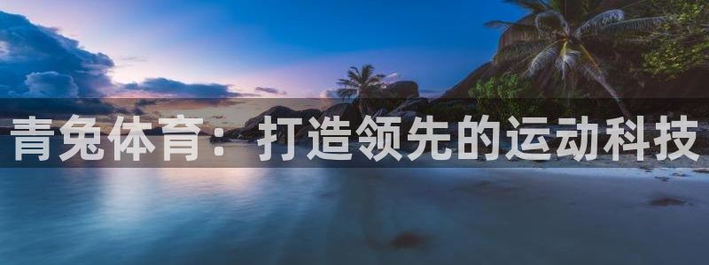 中欧先进制造股票a：青兔体育：打造领先的运动科技