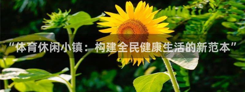 中欧商学院：“体育休闲小镇：构建全民健康生活的新范本”